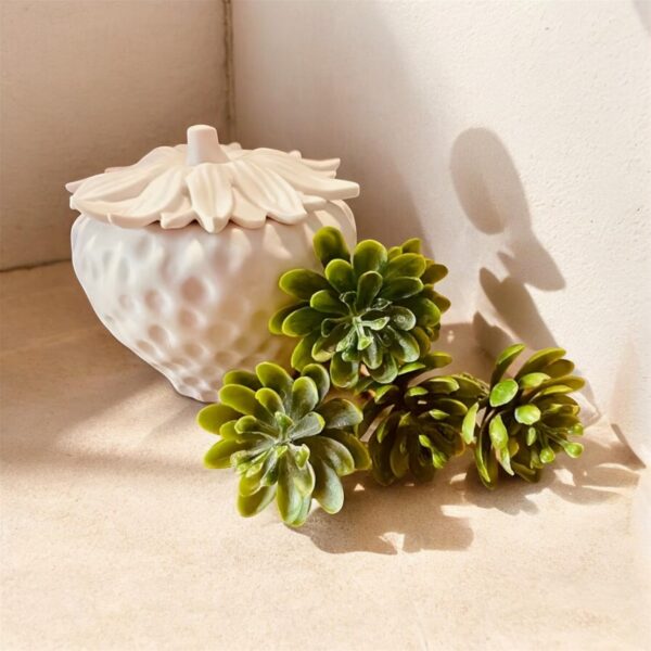 Strawberry Storage Box